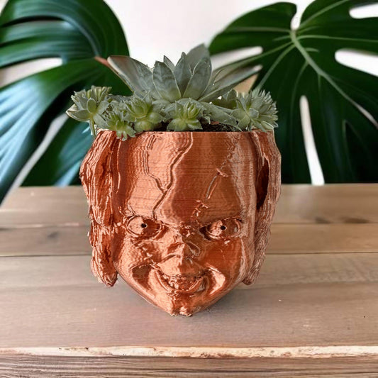 Chucky Plant Pot and Succulent