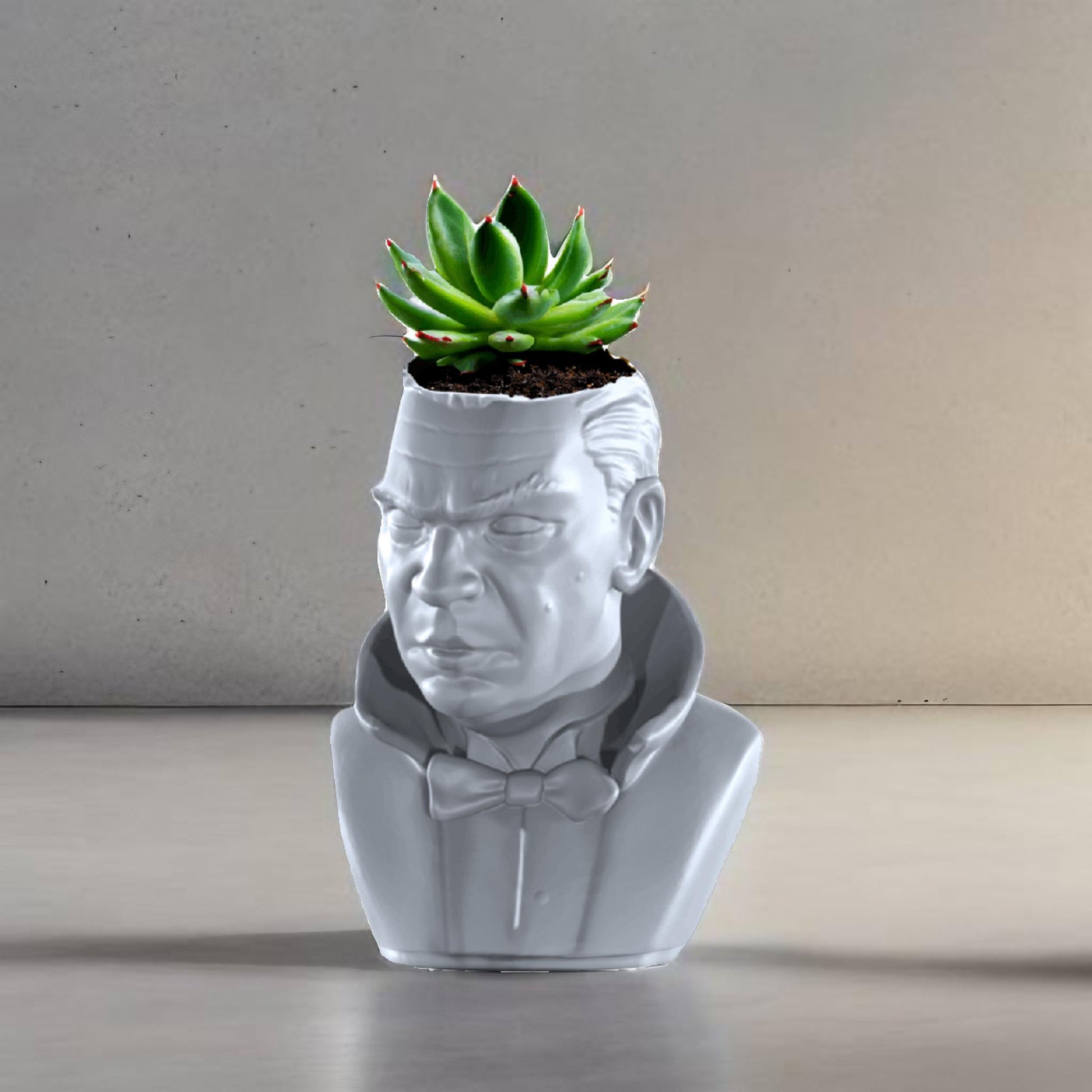 Dracula Plant Pot With Succulent