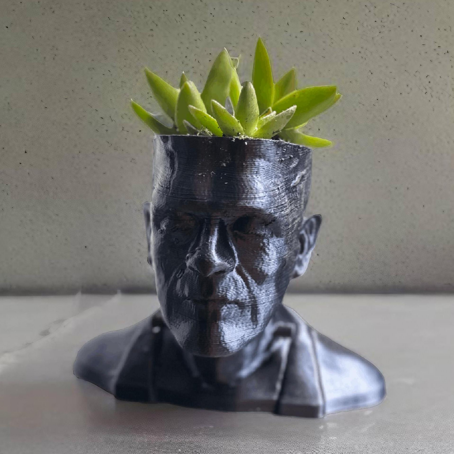 Frankenstein Plant Pot With Succulent