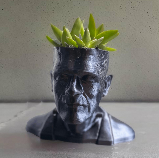 Frankenstein Succulent