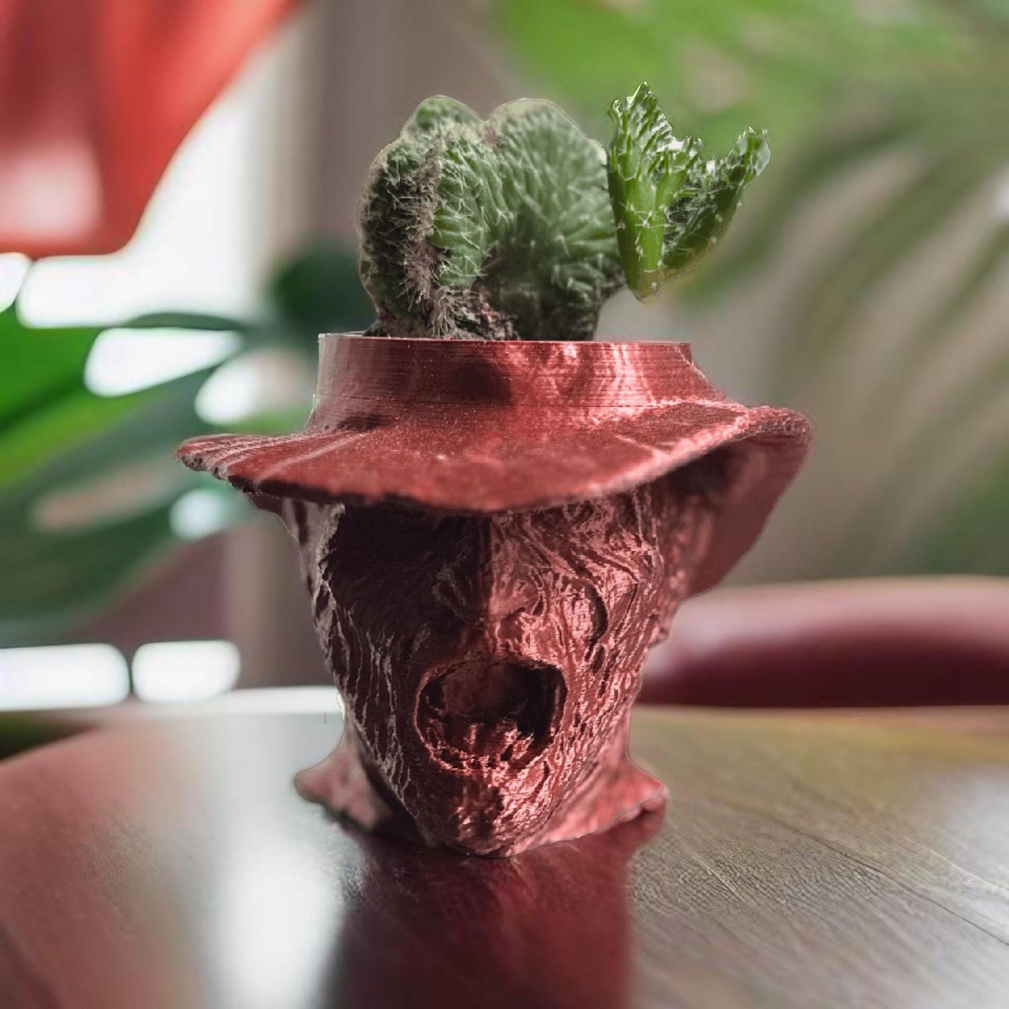 Freddy Krueger Succulent