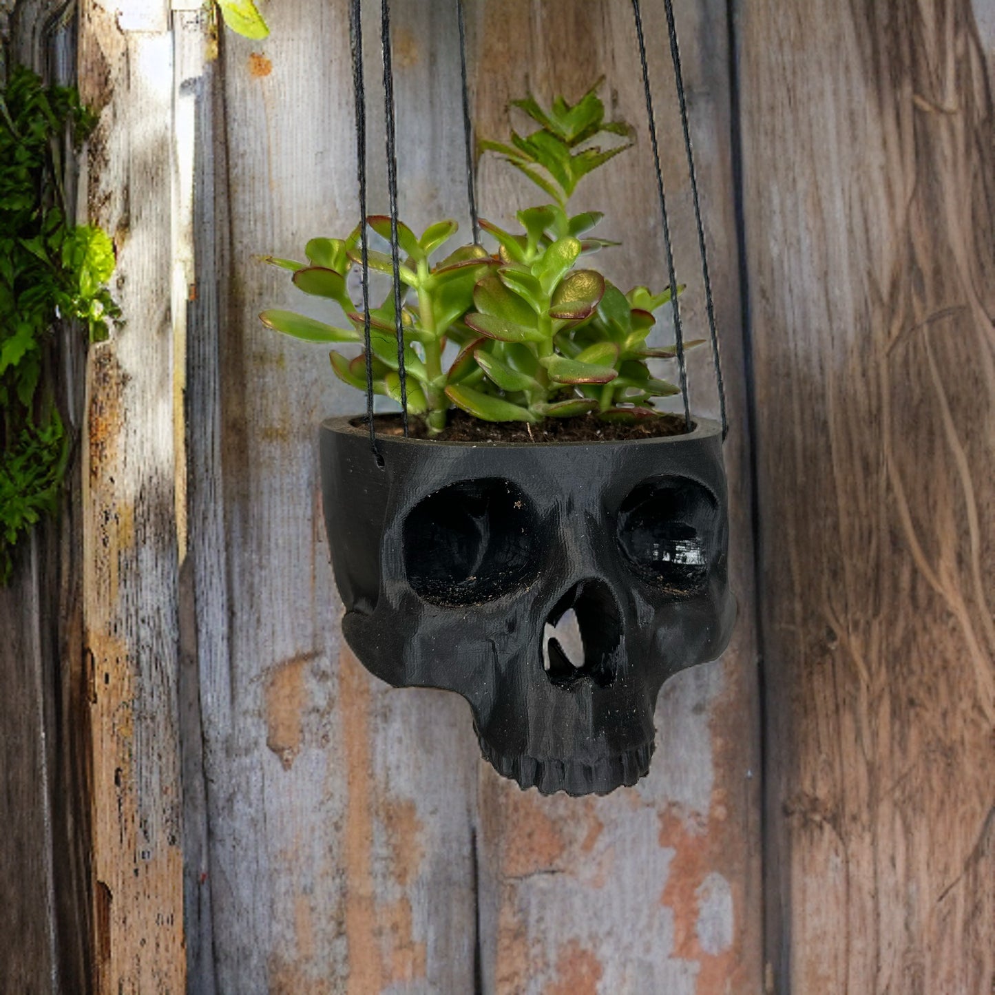 Hanging Skull