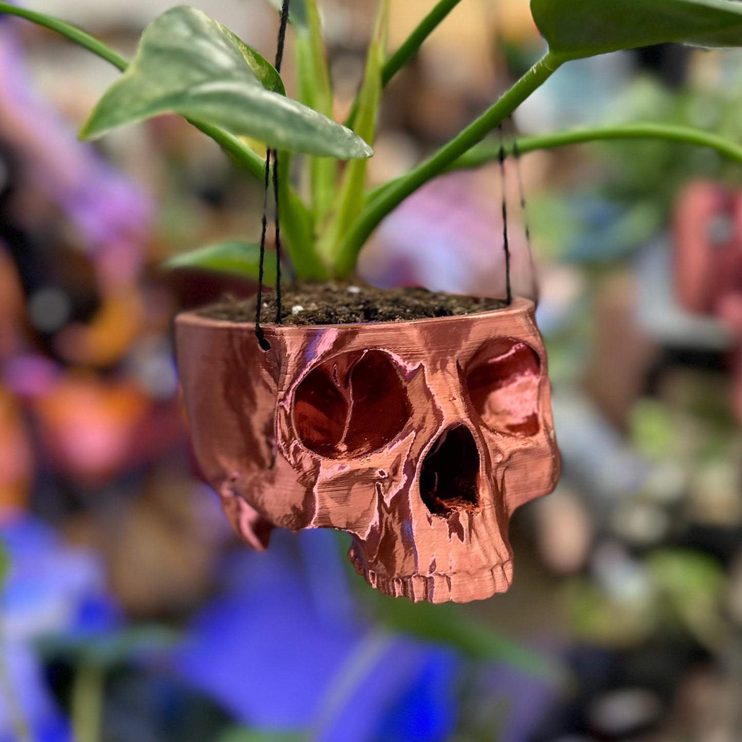 Hanging Skull Plant Pot 