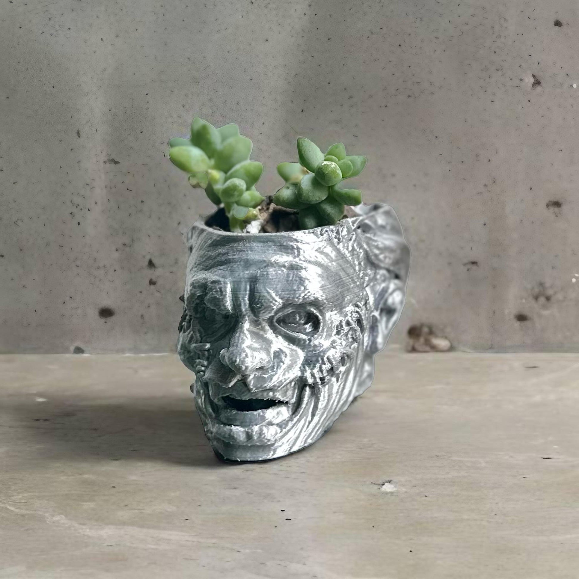 Leatherface Plant Pot With Succulent