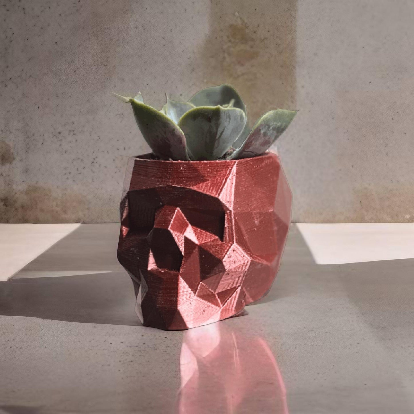 Low Poly Skull Plant Pot With Succulent