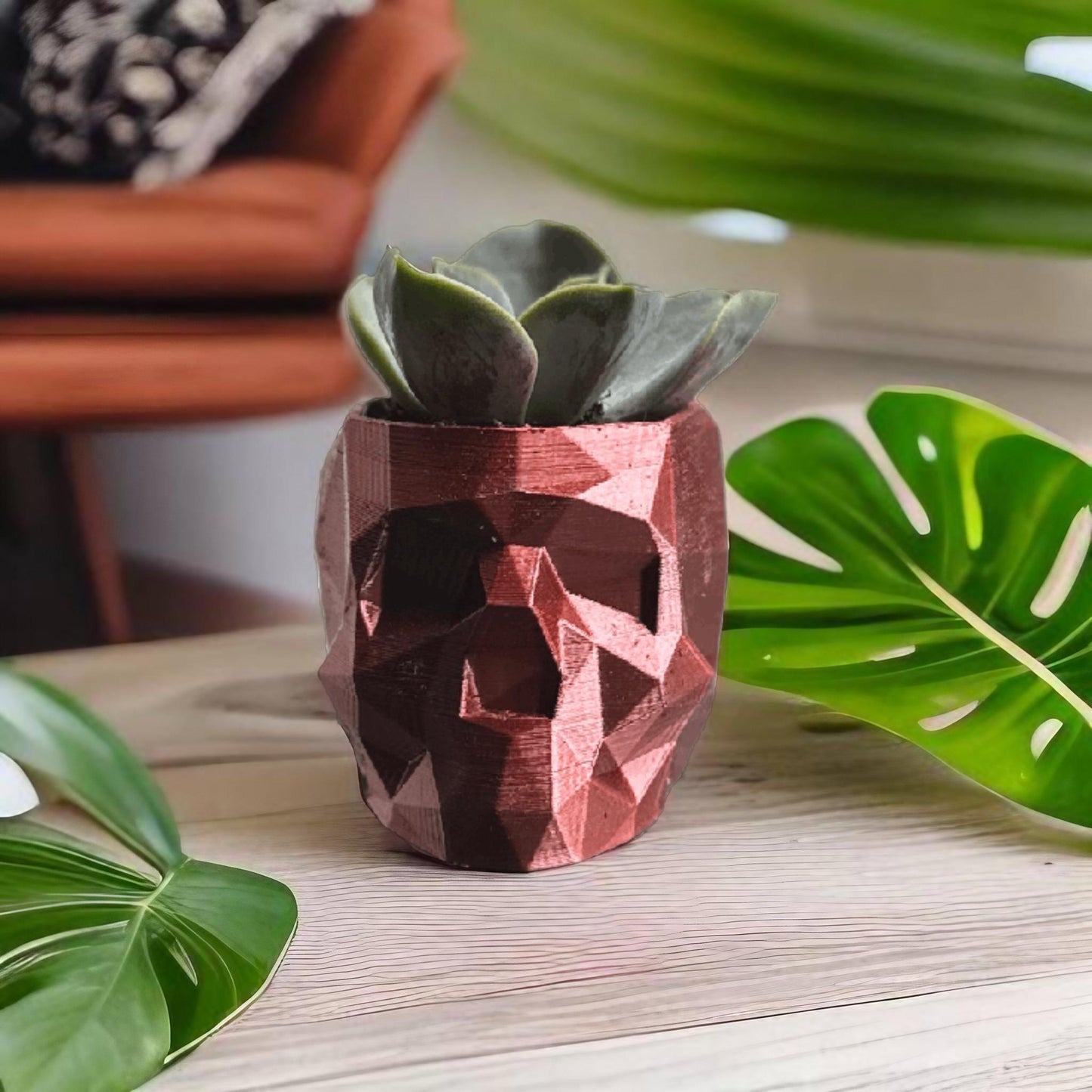 Low Poly Skull Succulent