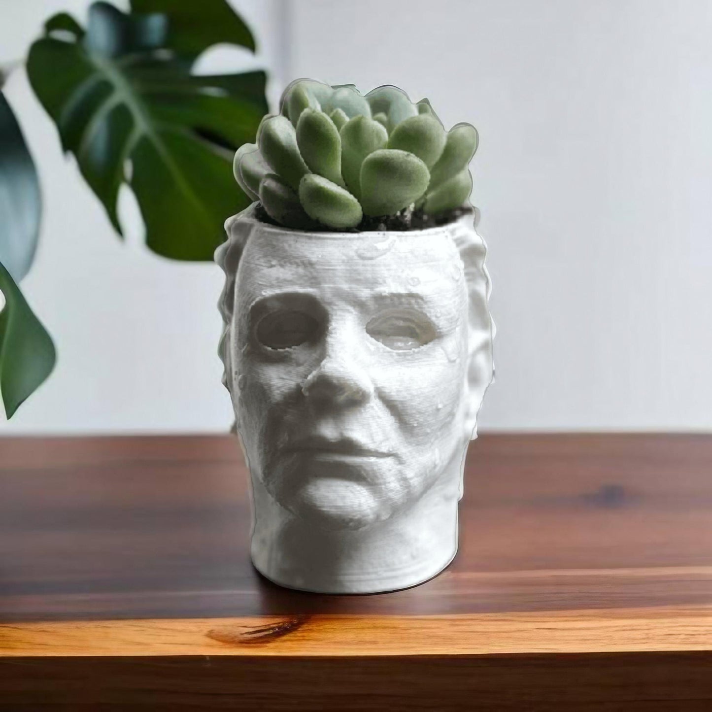 Michael Myers Succulent