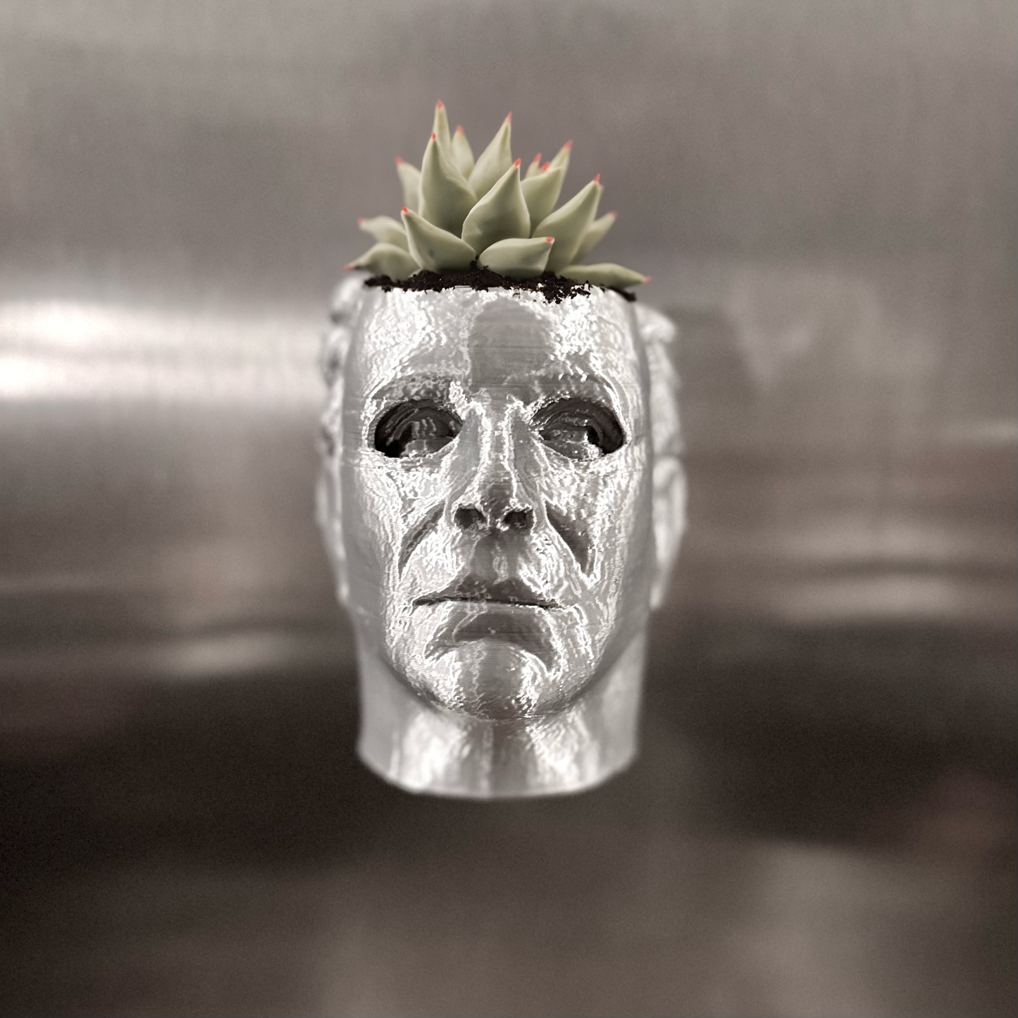 Michael Myers Succulent