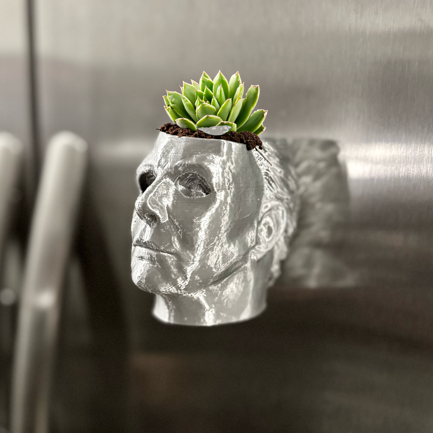 Michael Myers Succulent