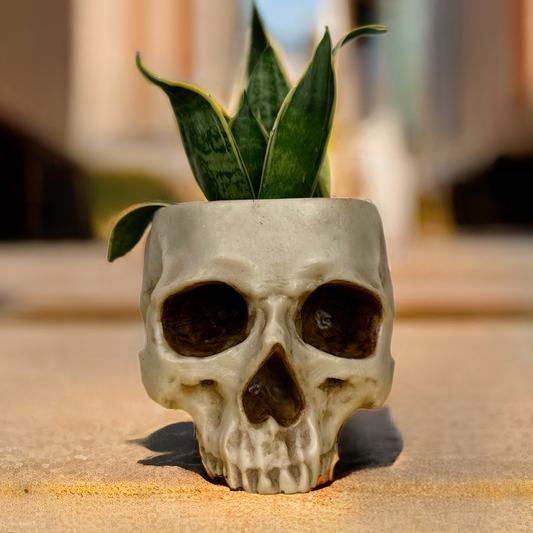 Painted Skull Plant Pot