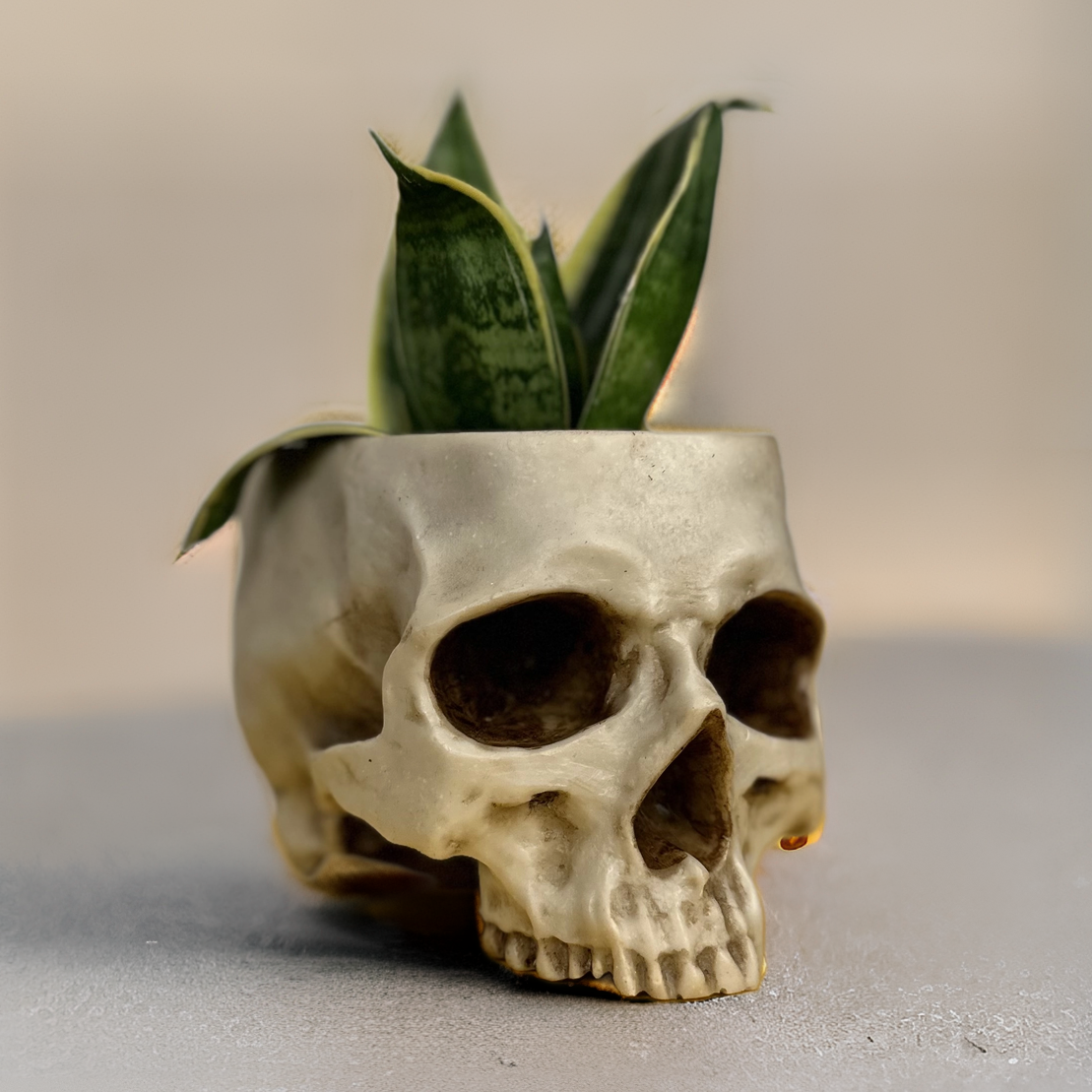 Painted Skull Pot