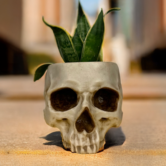 Painted Skull Pot