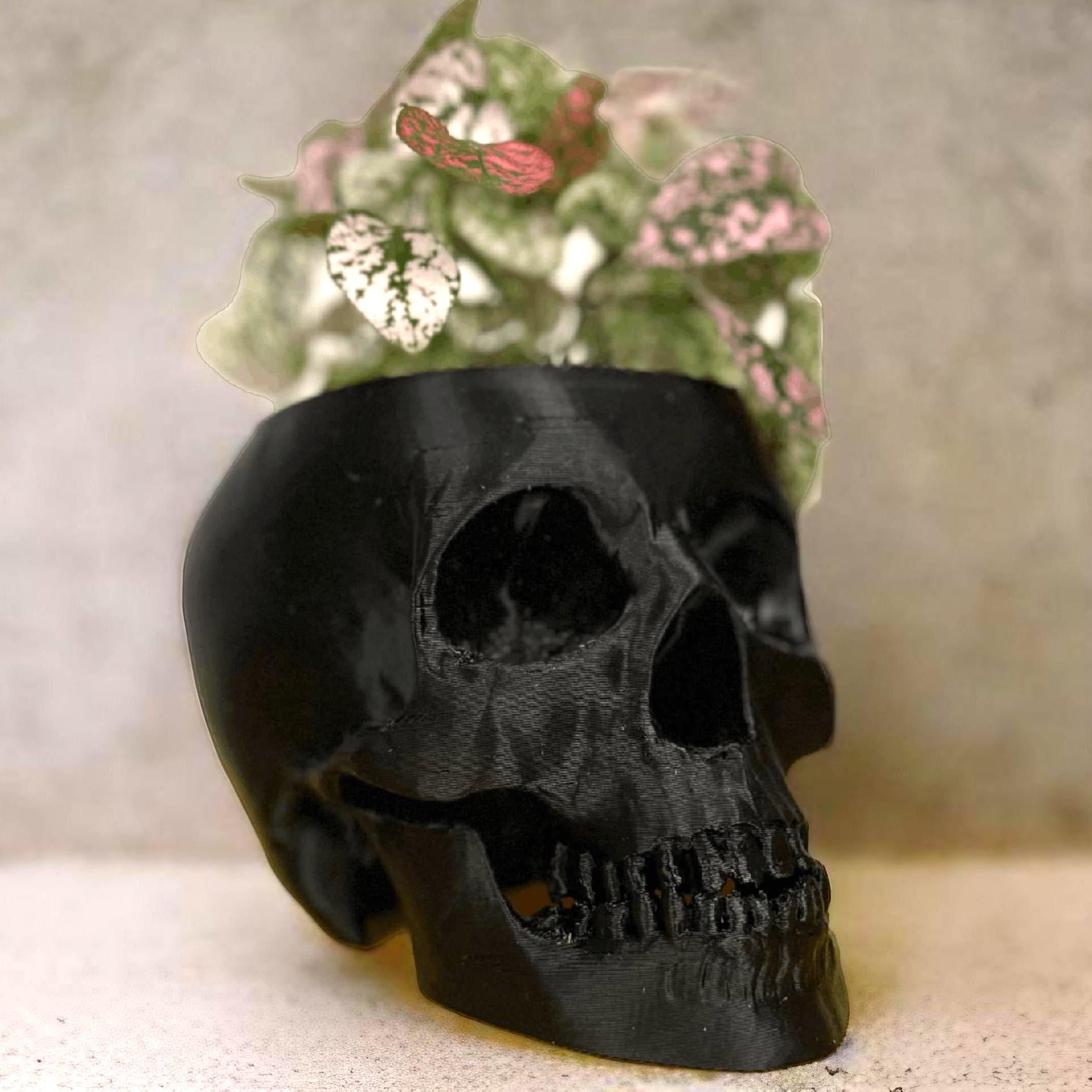 Skull Plant Pot