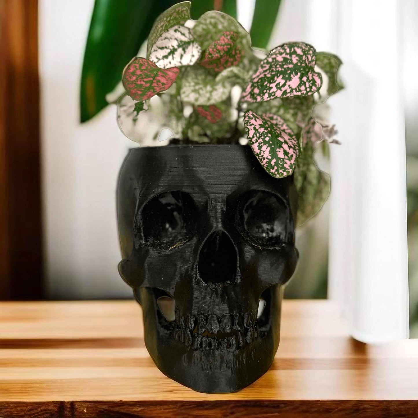 Skull Pot