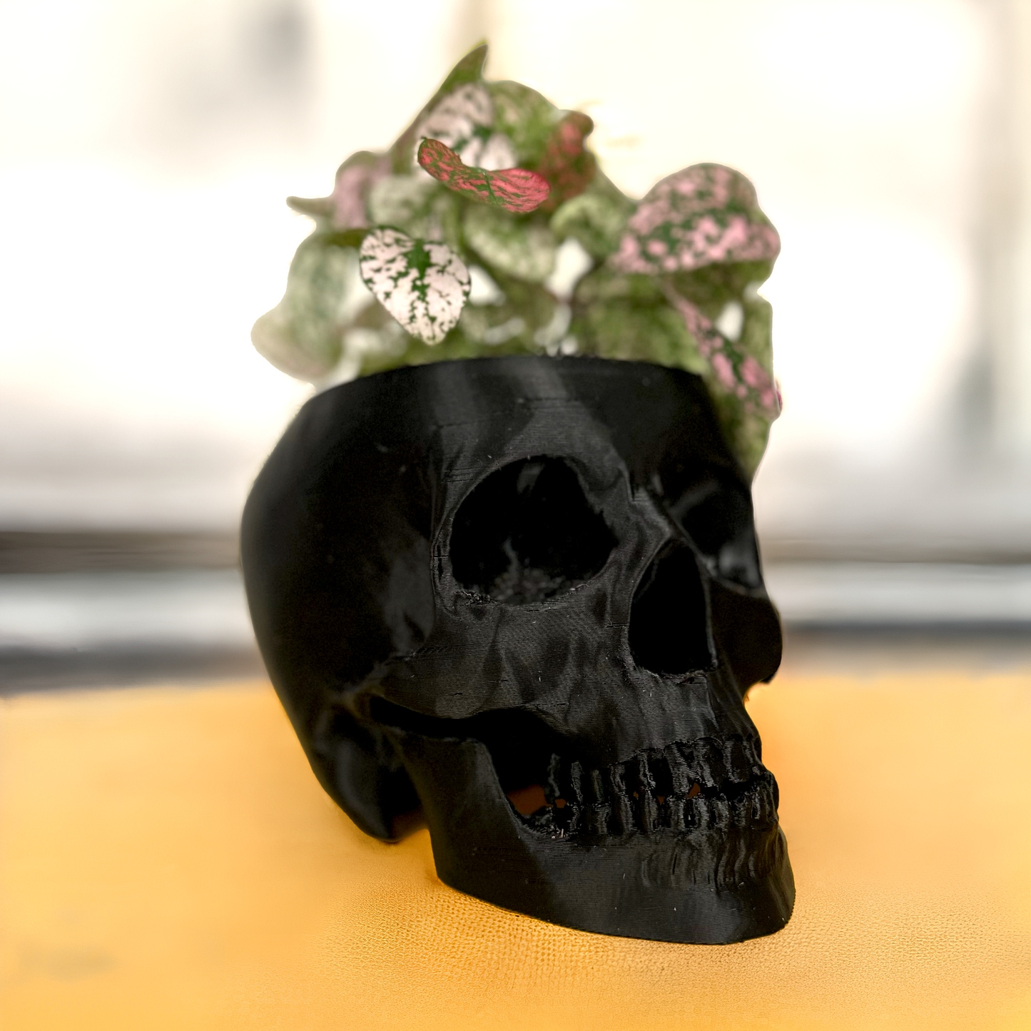 Skull Pot