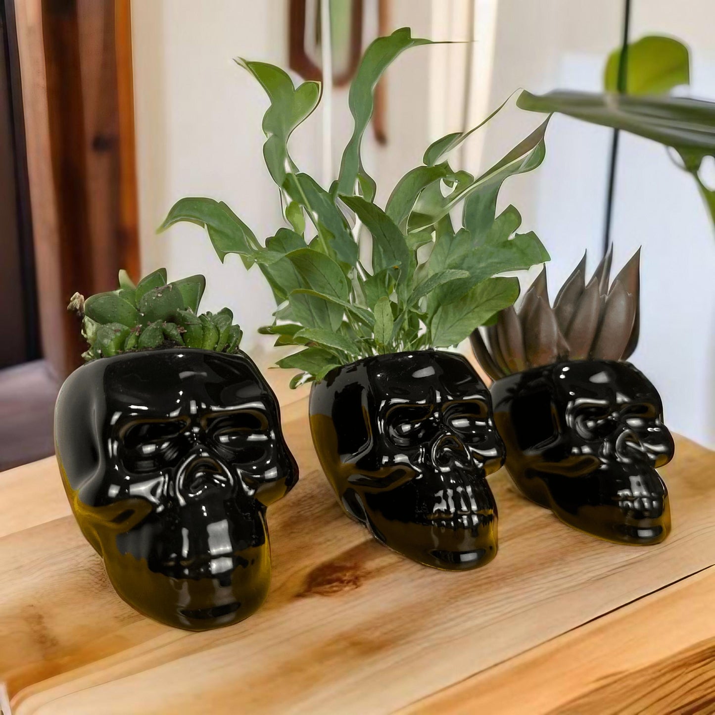 Ceramic Succulent Skulls