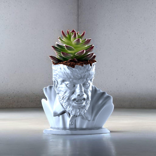 The Wolfman Plant Pot With Succulent