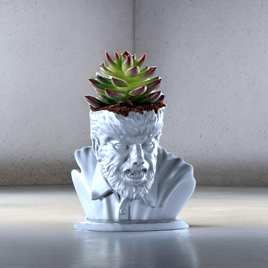 The Wolfman Succulent